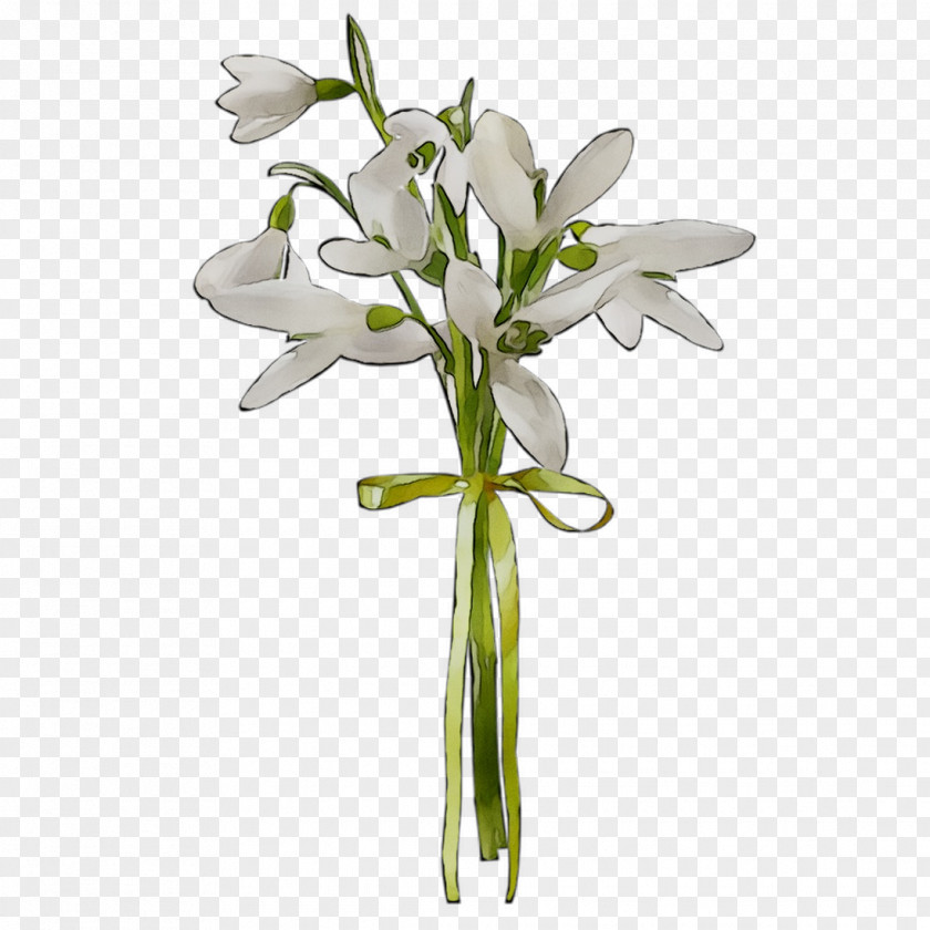 Table Vase Furniture Flower Garden PNG