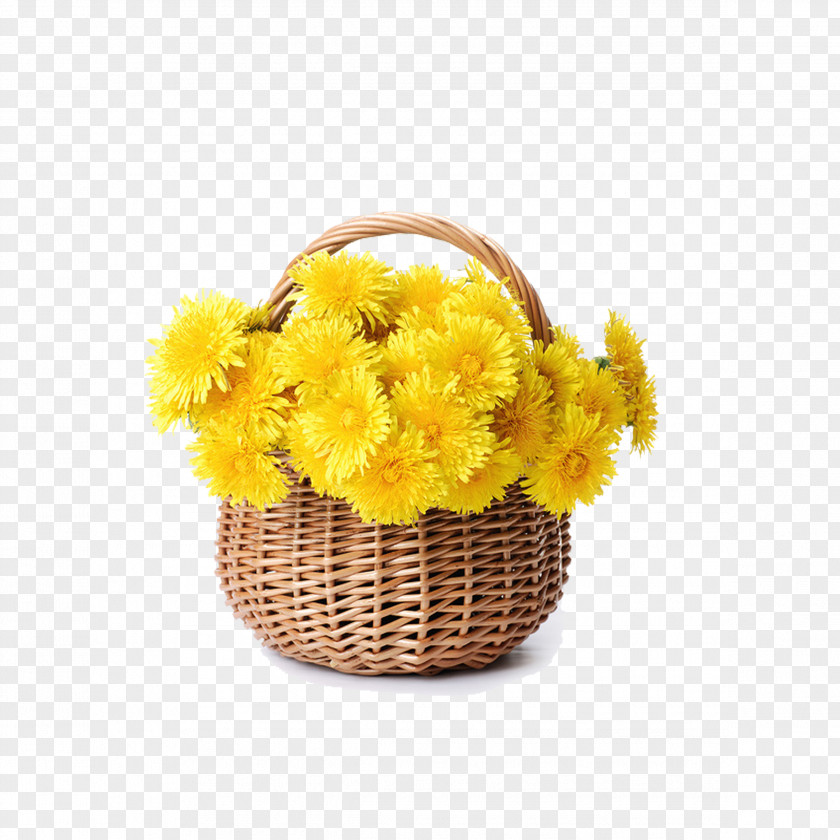 A Basket Of Chrysanthemums Flower Stock Photography Chrysanthemum Floristry PNG
