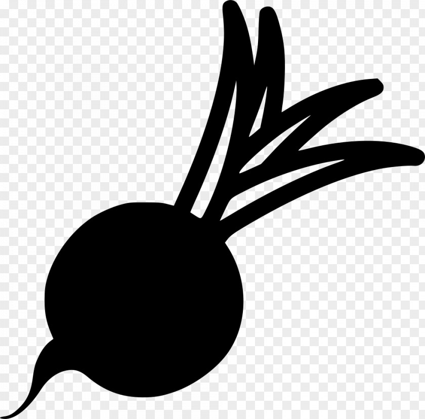 Beet Icon Clip Art Beetroot PNG