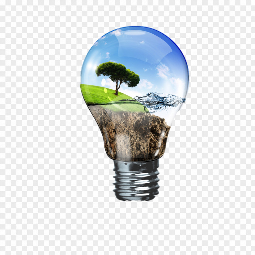 Bulb Renewable Energy Non-renewable Resource Conservation PNG