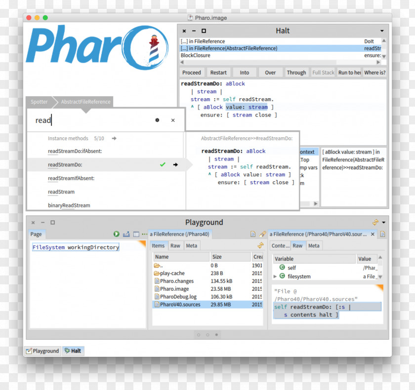 Computer Program Enterprise Pharo: A Web Perspective Page PNG