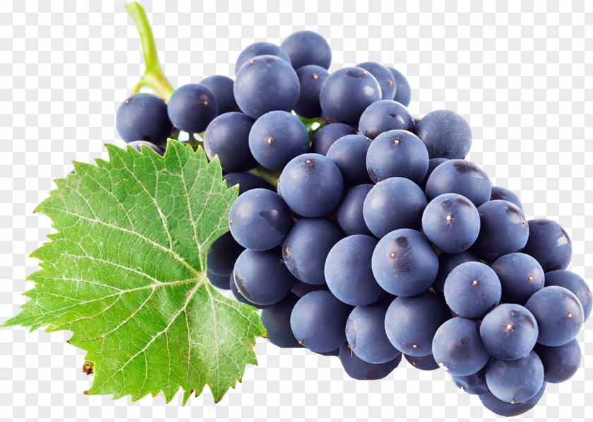 Grapes Kyoho Wine Juice Grape PNG