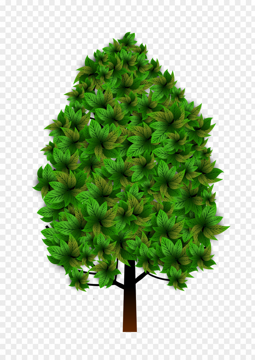 Tree Plant Clip Art PNG