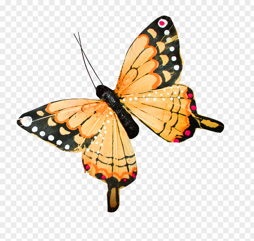 Butterfly Ornament PNG