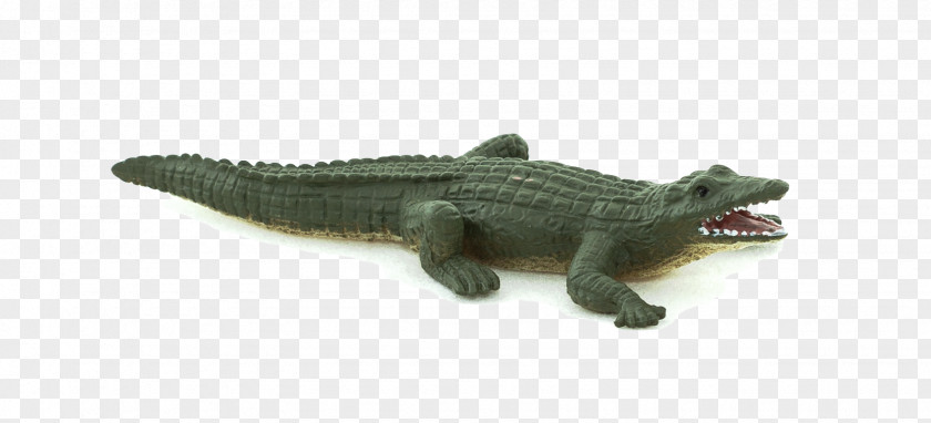 Crocodile Crocodiles Alligator Toy Dinosaur PNG