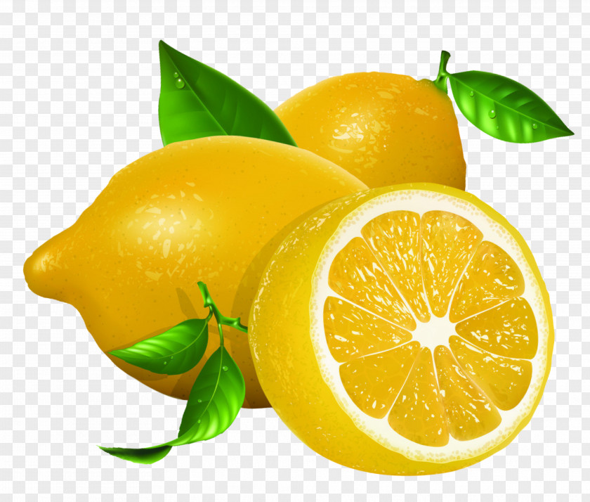 Fresh Lemon Euclidean Vector Clip Art PNG