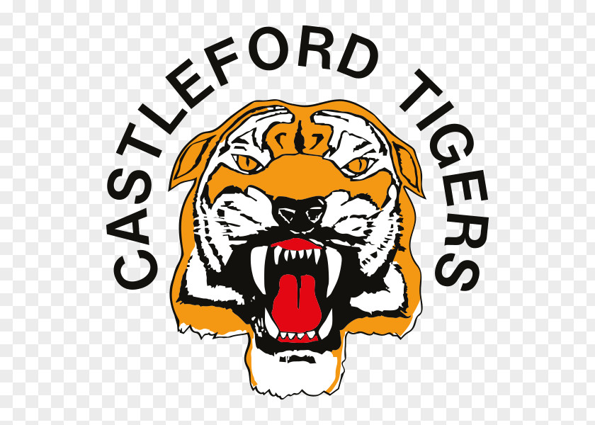 Castleford Tigers Super League Carnegie Challenge Cup St Helens R.F.C. Leeds Rhinos PNG