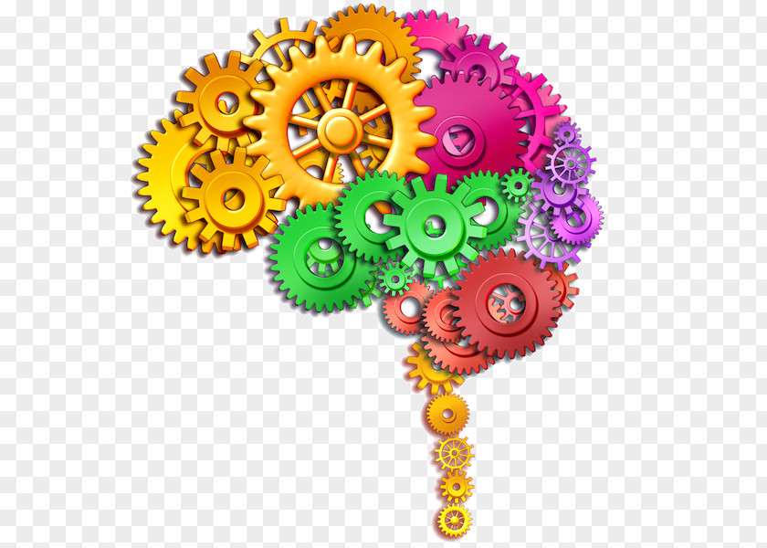 Creative Brain Human Stock Photography Function Clip Art PNG