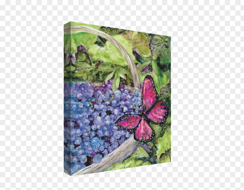 Grape Card Lilac Canvas Rainbow Company Inch PNG