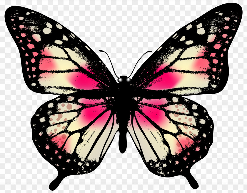 Large Pink Butterfly Clip Art Image PNG