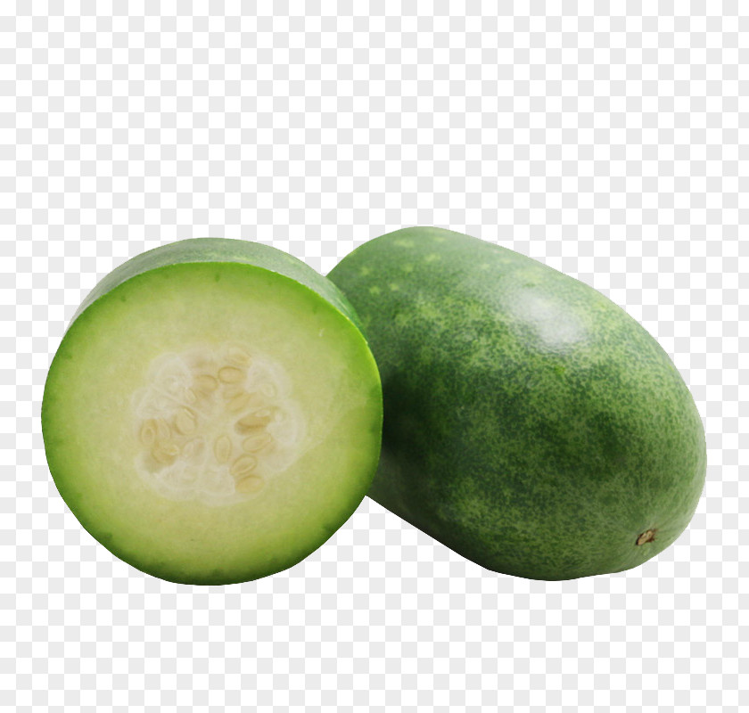 Melon Wax Gourd Vegetable Food Fruit PNG