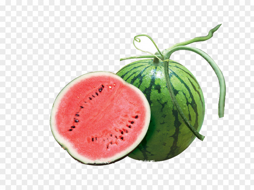Summer Watermelon Auglis Cherry Vegetable PNG