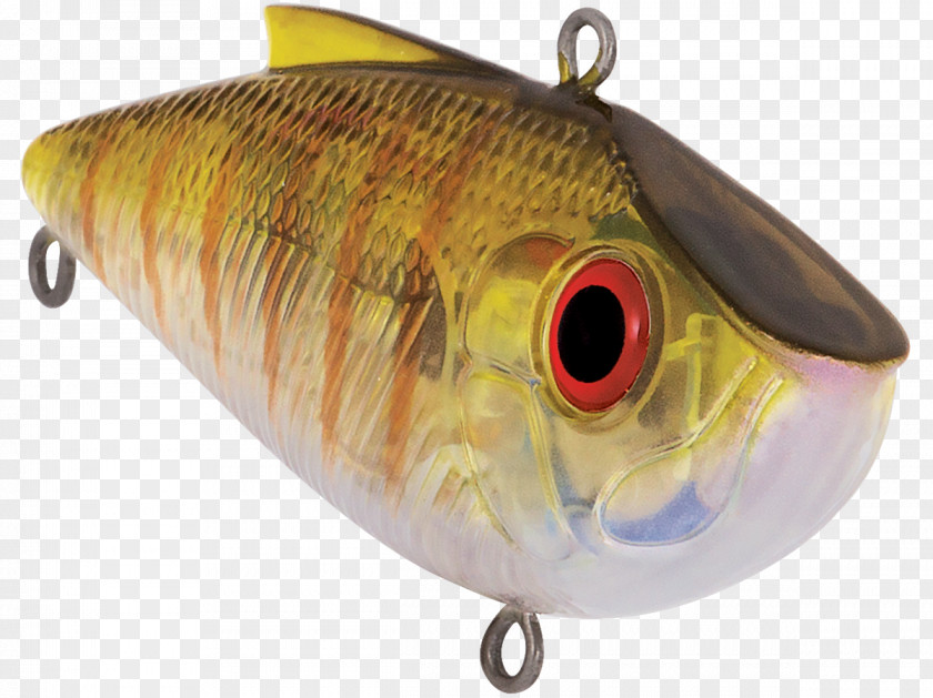 Bream Spoon Lure Perch Fish AC Power Plugs And Sockets PNG