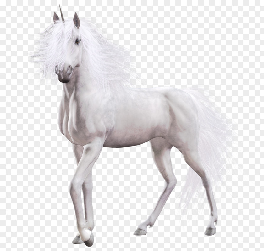 Horse Unicorn Clip Art PNG