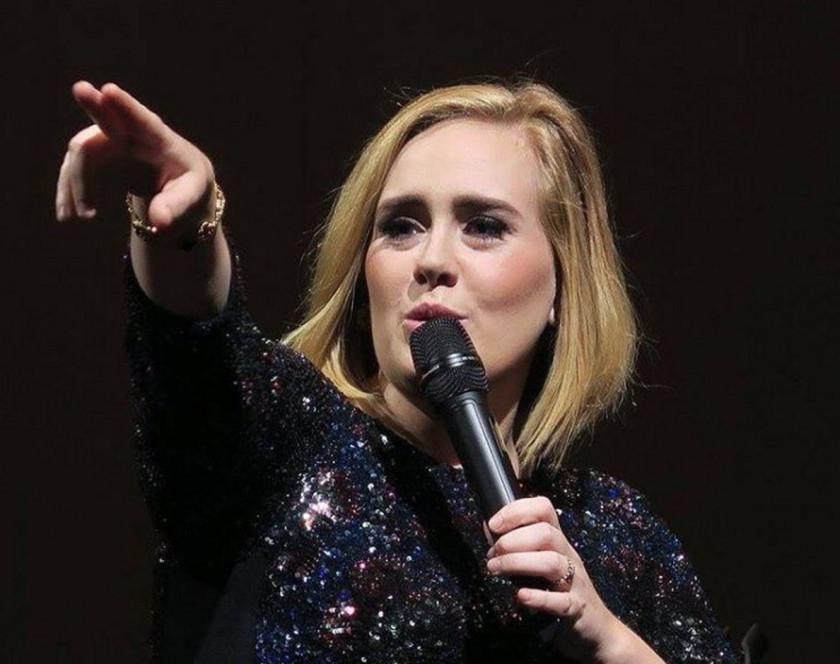 Adele Musician Singer-songwriter Concert PNG