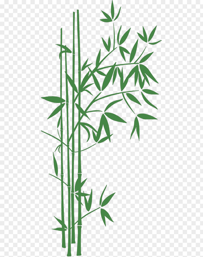 Bamboo Creative Work Playa El Toro Art Romance Novel PNG