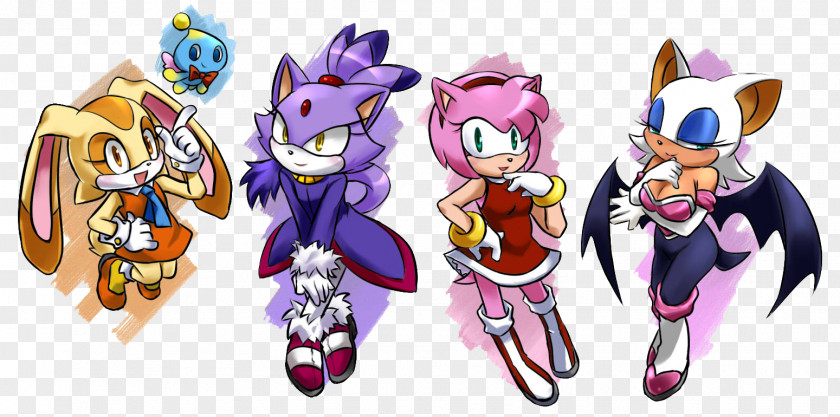 Blaze Sonic The Hedgehog Amy Rose Heroes Rouge Bat Shadow PNG