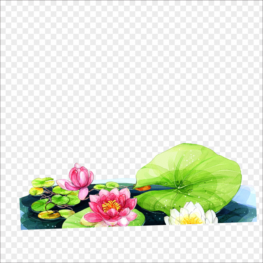 Chongyang Lotus Cars Nelumbo Nucifera PNG