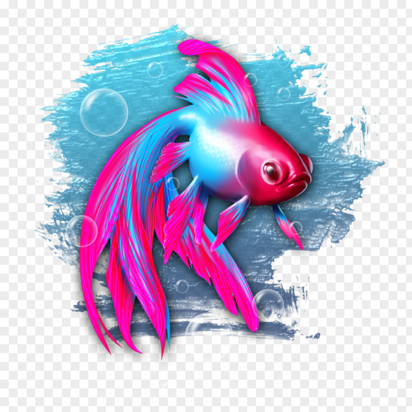 Fish Marine Biology Desktop Wallpaper PNG