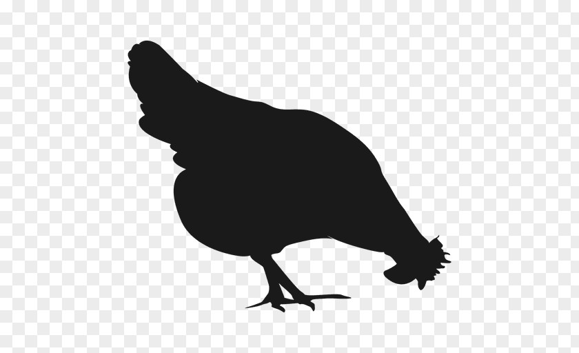 Hen Chicken Silhouette Clip Art PNG