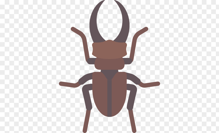 Stag Beetle Lemurs Wildlife Animal Sloth PNG