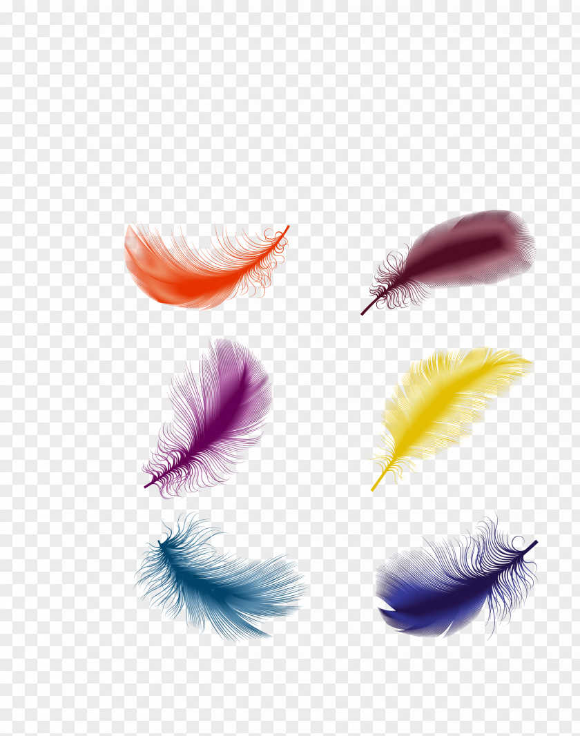 Vector Color Feathers Decoration The Floating Feather PNG