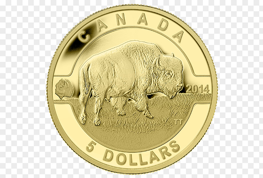 Canada Royal Canadian Mint Gold Coin PNG