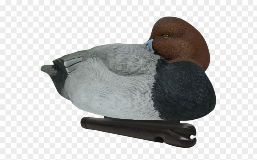 Duck Decoy Mallard Goose PNG