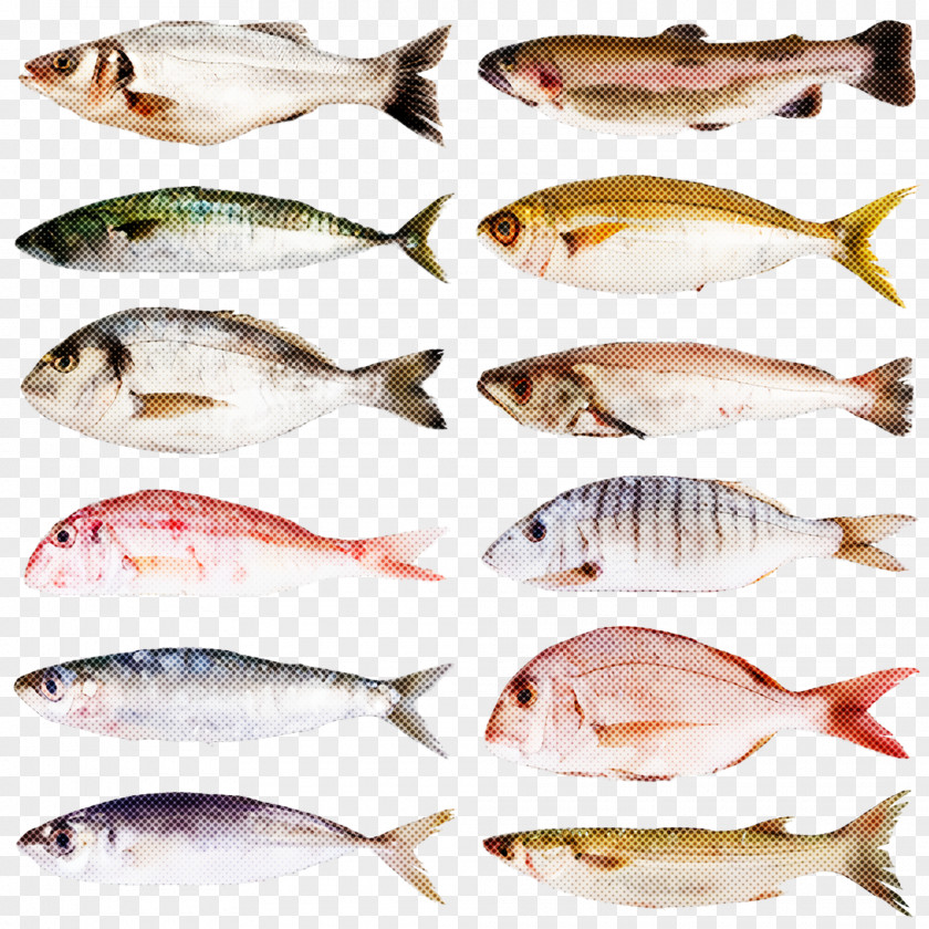 Fish Products Tilapia Seafood PNG