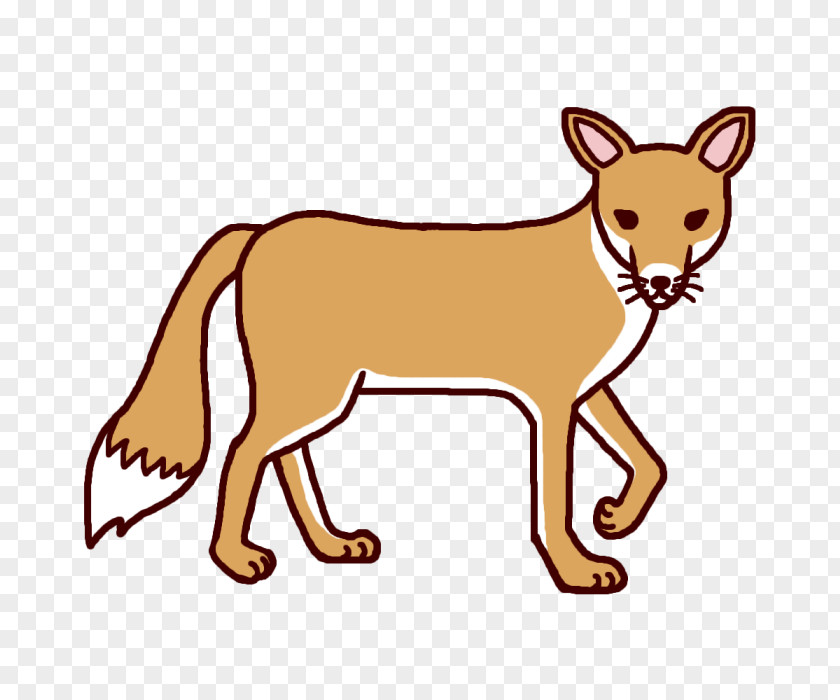 Fox Red Donburi Kitsune Soba Raccoon Dog PNG
