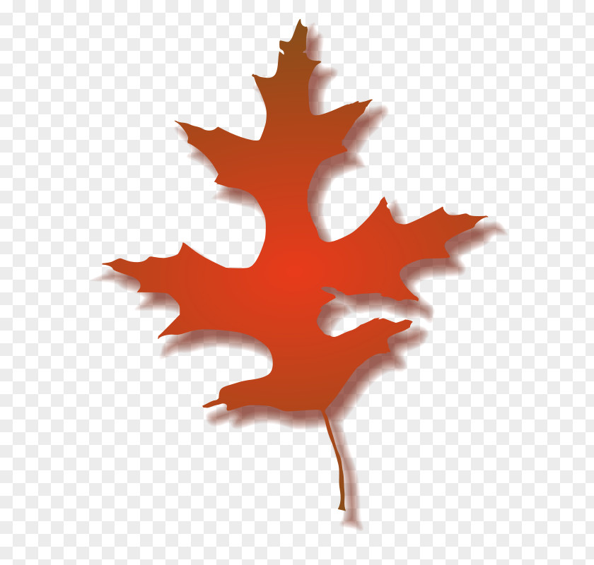 Free Leaf Clipart Oak Autumn Clip Art PNG
