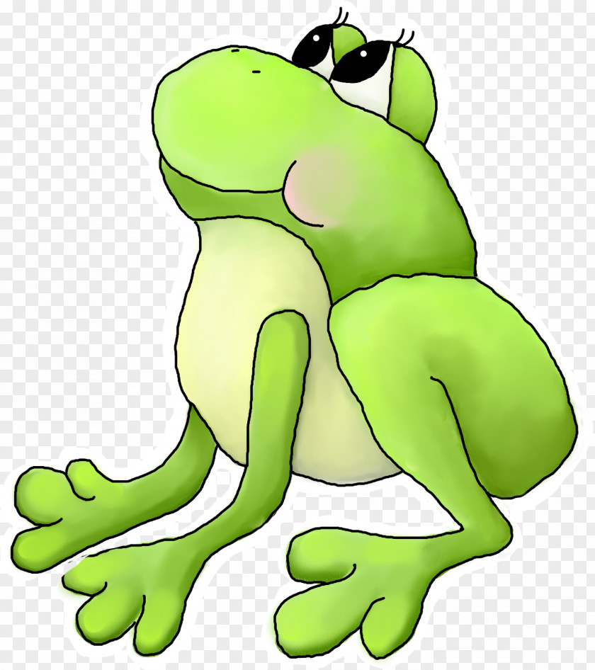 Frog True Tree Toad Clip Art PNG