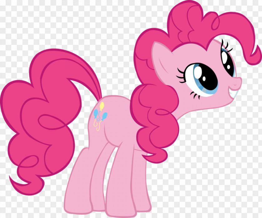 Pinkie Pie Rainbow Dash Twilight Sparkle Applejack Rarity PNG