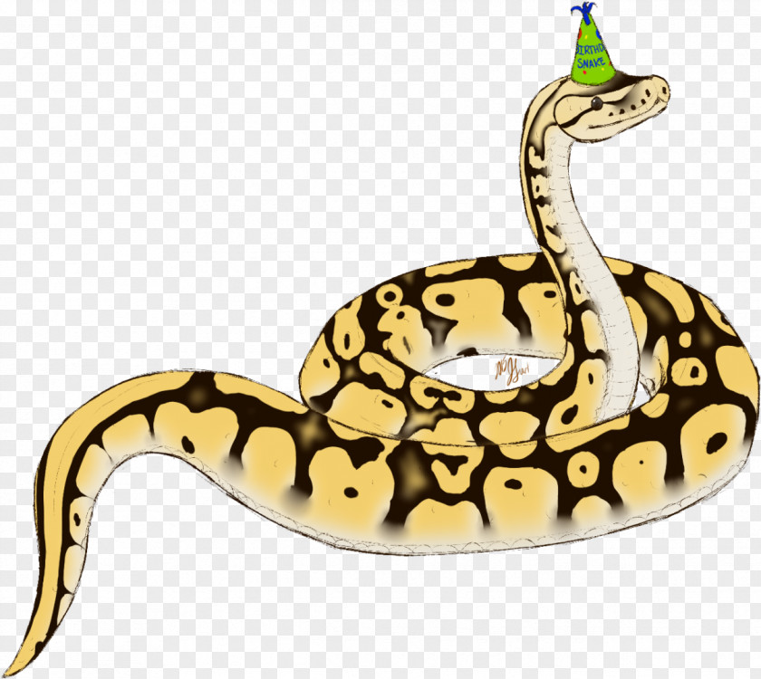 Boa Viper Drawing Of Family PNG