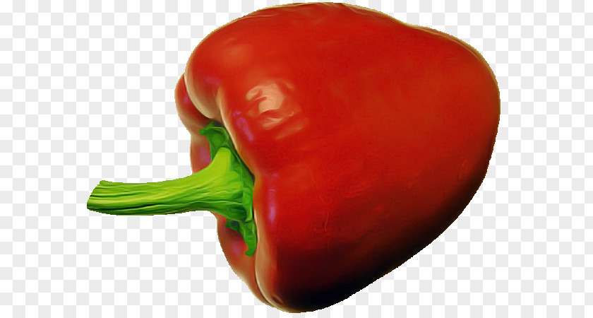 Chili Pepper Habanero Cayenne Piquillo Bell PNG