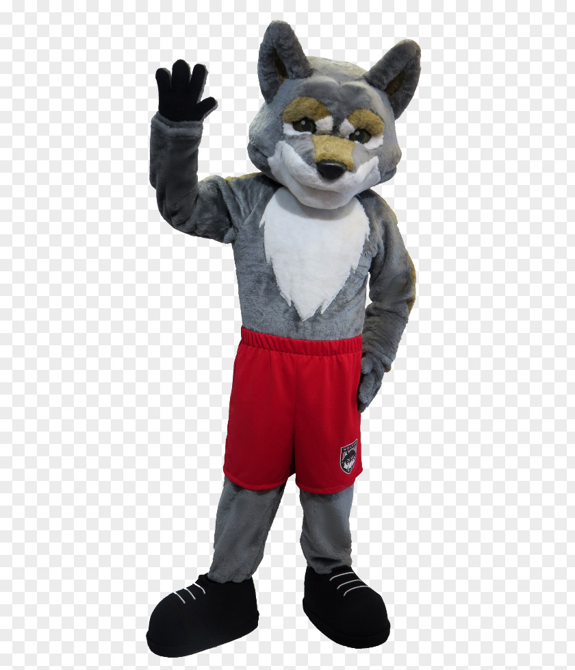 Dog Western Oregon University Mascot Wolves Football College PNG