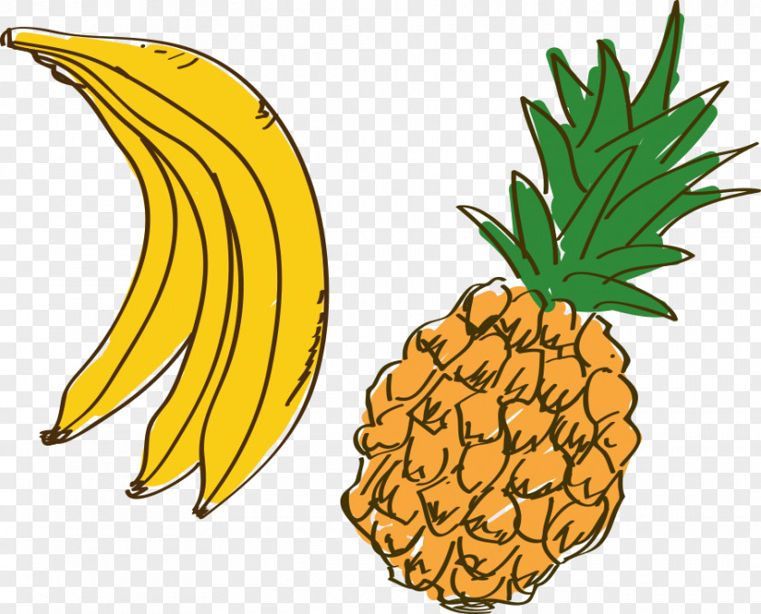Hand-drawn Cartoon Fruit Pineapple Coloring Book Auglis PNG