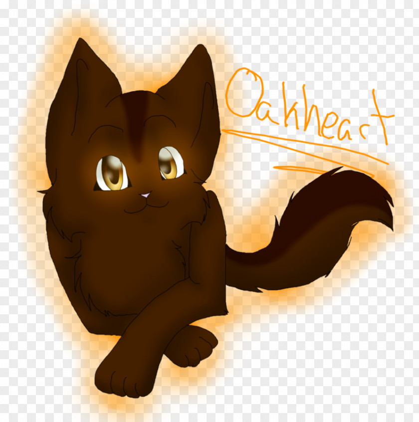 Kitten Black Cat Whiskers Bluestar's Prophecy PNG
