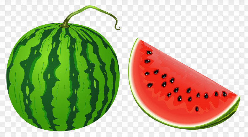 Melon Watermelon Clip Art PNG