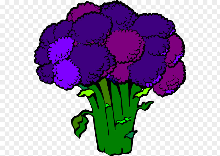 Broccoli Slaw Drawing Clip Art PNG