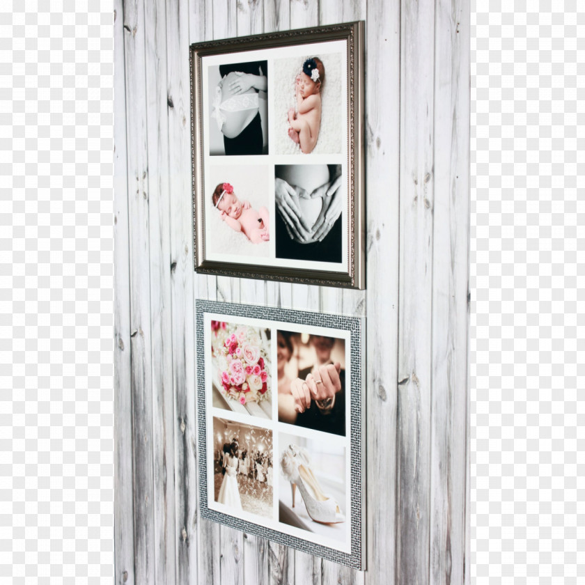 Hanging Polaroid Picture Frames Printmaking Window PNG
