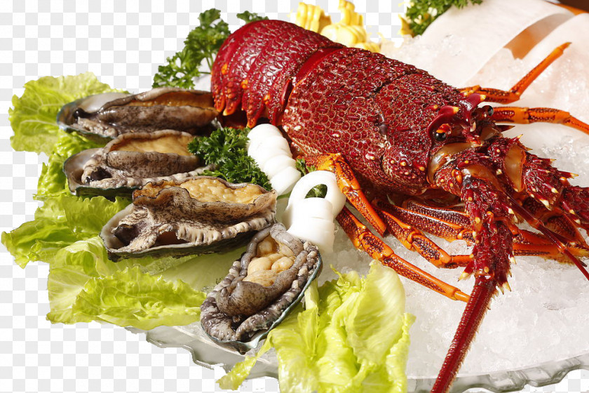 Lobster Seafood Palinurus Elephas Shrimp PNG