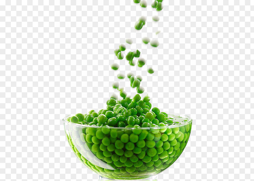 Bowl Of Peas Pictures Vegetable Green Bean PNG