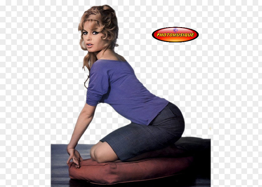 Brigitte Bardot Hairstyle Actor PNG