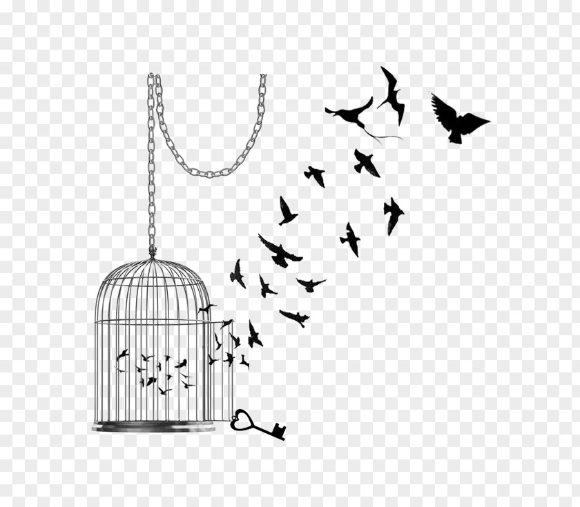 Cage Poetry Tattoo Birdcage Decal PNG