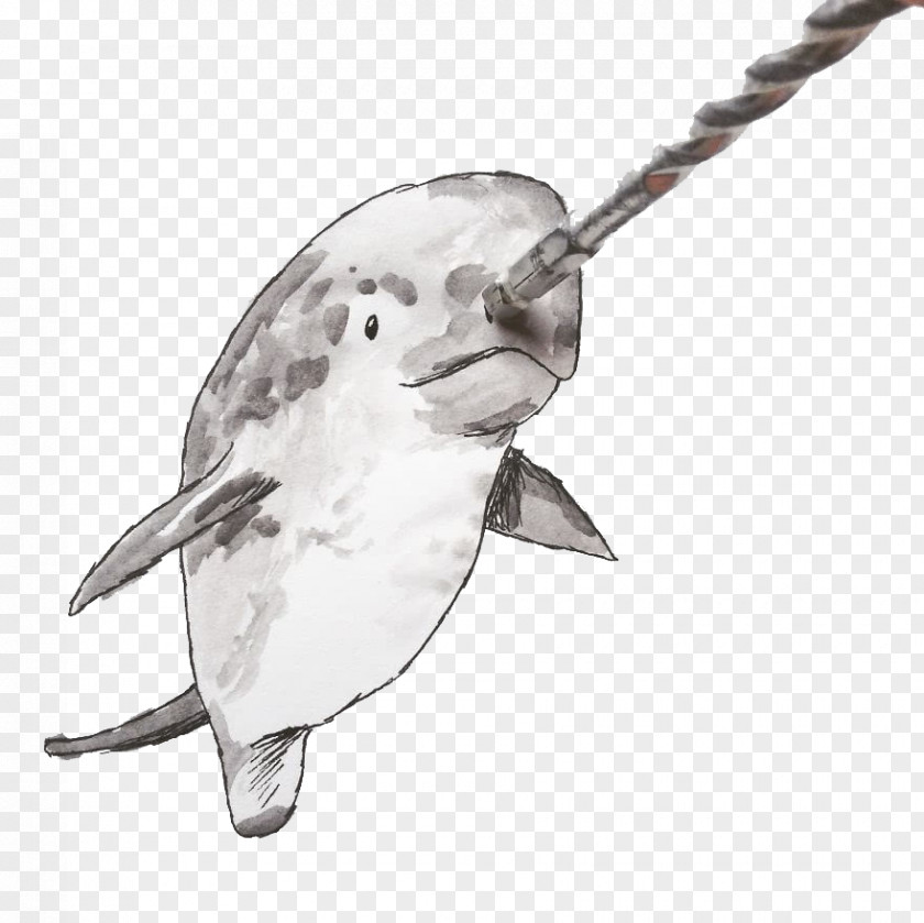Dolphin Drawing Artist Work Of Art Sketch PNG