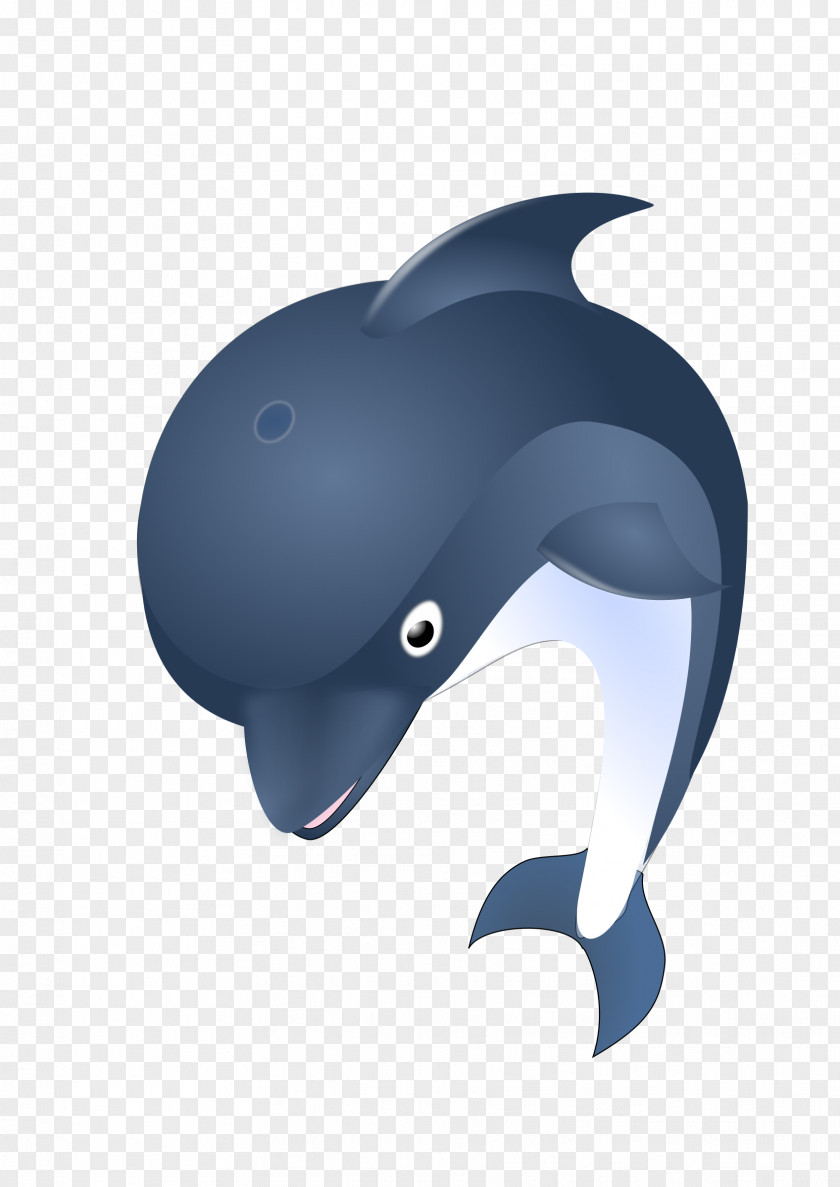 Dolphin Porpoise Clip Art PNG