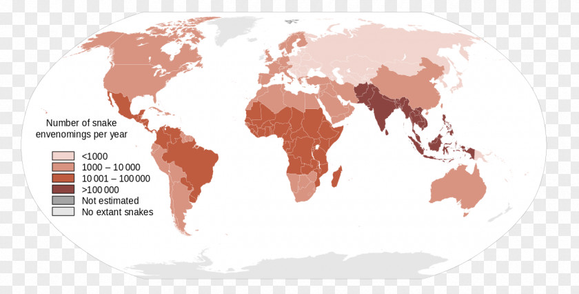 World Map Globe PNG