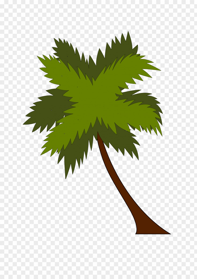 Palm Tree Port Aransas Black Beach Resort Seaside PNG
