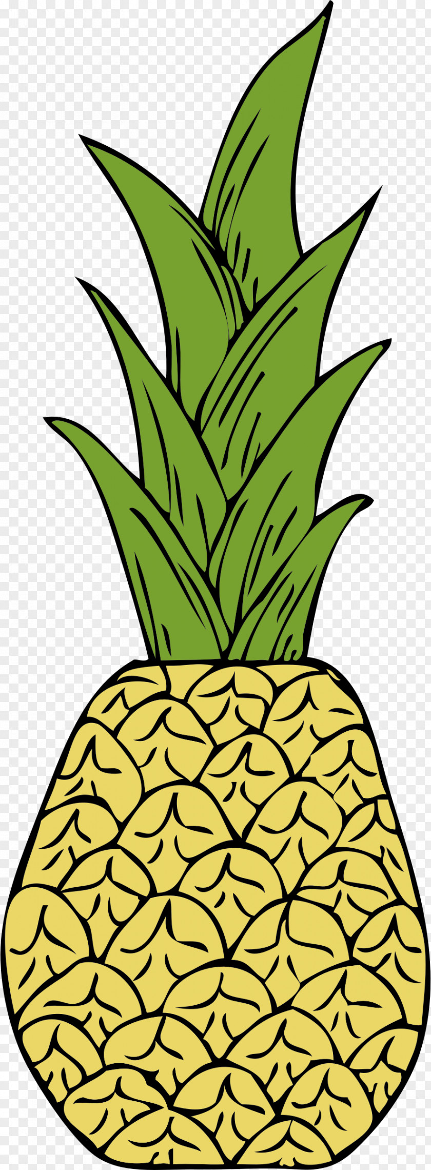 Pineapple Tropical Fruit Clip Art PNG